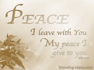 John 14:27 His Perfect Peace (devotional) (beige)